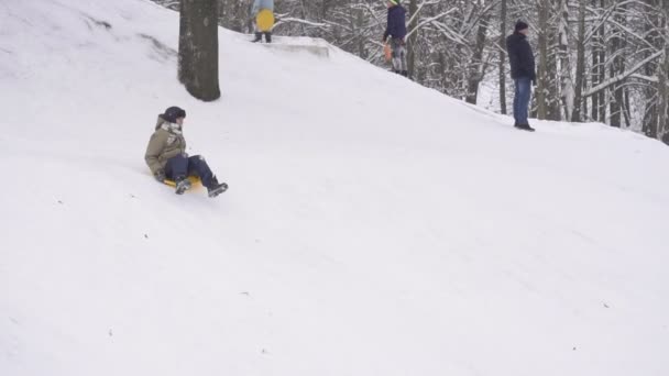 Bobruisk, Fehéroroszország - 2019. január 6.: A gyermek a hegyi túrák szán és falls, lassú mo — Stock videók