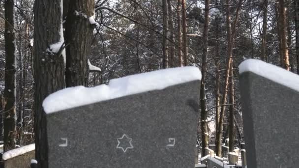 Snowy tombstones with Star of David at a jewish cemetery or graveyard in winter in forest — Stock Video