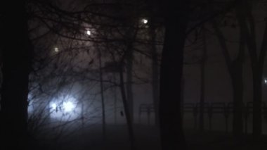 pus için aracılığıyla sis gece, yoksul görünürlük adlı bir yolda araba farlar gelen parlak ışık parlar