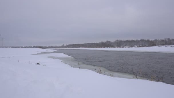 Paysage d'une rivière d'hiver dans la neige, en arrière-plan une forêt enneigée, 4K, naturel 