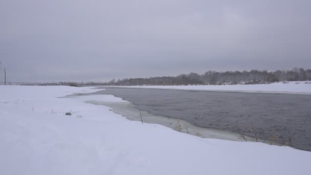 雪に覆われた森、4 k、自然バック グラウンドで、雪の中で冬の川の風景 — ストック動画