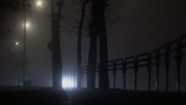 Luz brillante de los faros de los coches brilla a través de la niebla en una carretera por la noche, mala visibilidad debido a la niebla — Vídeos de Stock