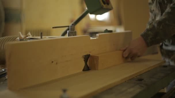 Un falegname della segheria lavora la tavola su una macchina speciale per il taglio e la lavorazione del legno, primo piano, motosega — Video Stock