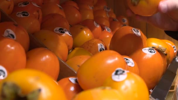 Homem escolhe laranjas mandarim no mercado de loja em BOBRUISK, BELARUS - 11.22.18 — Vídeo de Stock