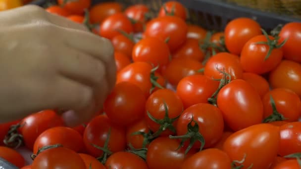 Um homem escolhe tomates cereja no mercado para compra, close-up, tomates, câmera lenta — Vídeo de Stock