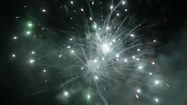 Beautiful festive fireworks on the background of the night sky, background, copy space — Stock Video