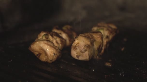 Cook pommes frites eller kokke stykker kød på grill grill i ovnen over kul i slowmo i restaurant. Traditionel nationalret Shashlik eller shish kebab er stegt på bbq i cafeer køkken – Stock-video