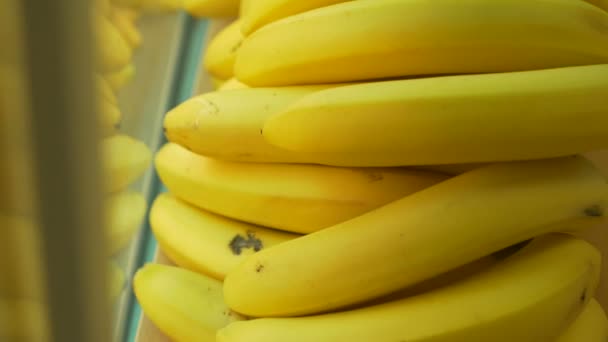 Спелые свежие бананы Кавендиш на прилавке магазина или на рынке — стоковое видео