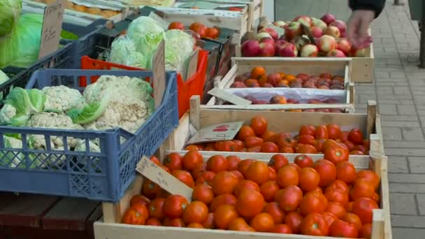 Bazar Oriental Verduras Frescas Saludables Cultivadas Granja Invernadero Tiro Ciudad — Vídeo de stock