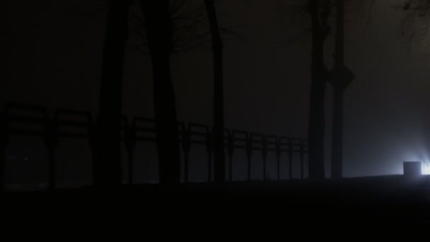 汽车在夜间的雾中在路上行驶, 由于雾气, 能见度很低 — 图库视频影像