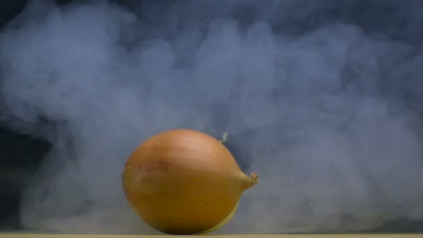 Bulbo ou cebolas comuns estão girando e soprar por fumaça ou vapor em slow mo, espaço de cópia — Vídeo de Stock
