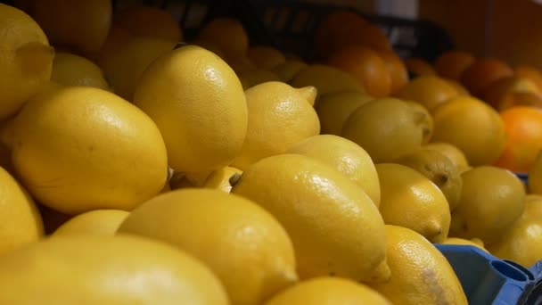 Ein Mann wählt Zitronen, die er auf dem Markt kauft, Nahaufnahme, Zeitlupe — Stockvideo