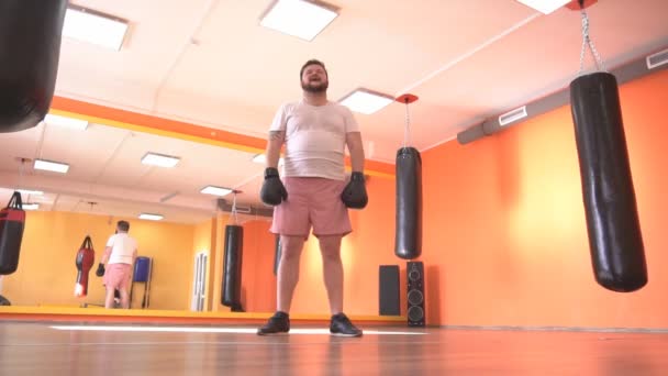Skäggig man i boxning handskar stående i gymmet där boxningssäckar hänger, bakgrund, långsamma mo, kopia utrymme — Stockvideo