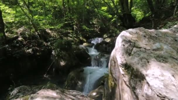 Prachtige natuur met berg whitewater river rapids stroomt via het weelderig groen bos en omvallen van de mossy stenen in de rivierbedding van de steile berg, plaats voor het toerisme met schoon water in de zomer — Stockvideo