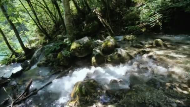 Prachtige natuur met berg whitewater river rapids stroomt via het weelderig groen bos en omvallen van de mossy stenen in de rivierbedding van de steile berg, plaats voor het toerisme met schoon water in de zomer — Stockvideo