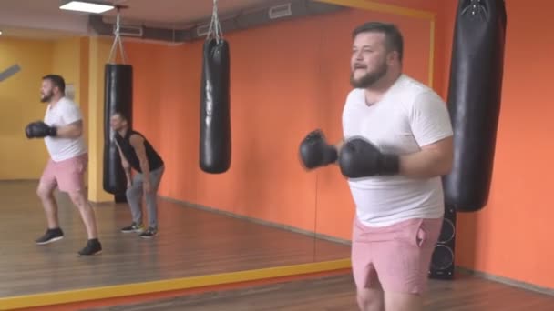 Guantes barbudos hombre y chica en caja en el gimnasio sparring, tonterías, cámara lenta, campeonato — Vídeo de stock