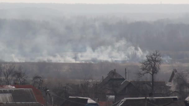 Fuego quema hierba seca en la naturaleza en el fondo de la aldea en la primavera — Vídeos de Stock