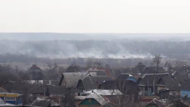 Brandstichting Droog Vorig Jaar Gras Droog Gras Brandt Natuur Buurt — Stockvideo