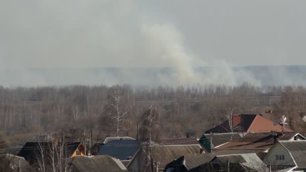 Ciężki dym z ognia leśnego i spalanie suchej trawy na horyzoncie wiosną, ekologia — Wideo stockowe