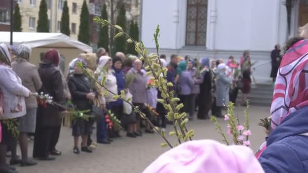 BOBRUISK, BÉLARO - 21 de abril de 2019: Fiesta cristiana de la Iglesia Domingo de Ramos, la gente va a la iglesia para iluminar las ramas de sauce y sauce, tradición — Vídeos de Stock