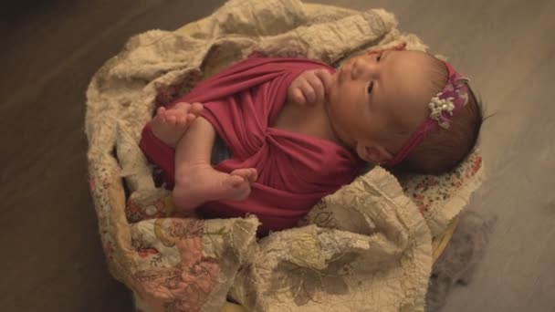 Kleine mooie Kaukasische meisje in elegante kleren slaapt in de studio en poses voor een fotoshoot, zuigeling — Stockvideo