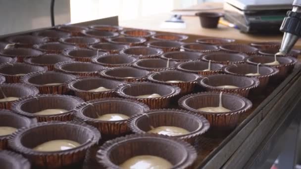 Виробництво кексів і торта на виробництві у великих кількостях. Харчова промисловість, виготовлення цукерок — стокове відео