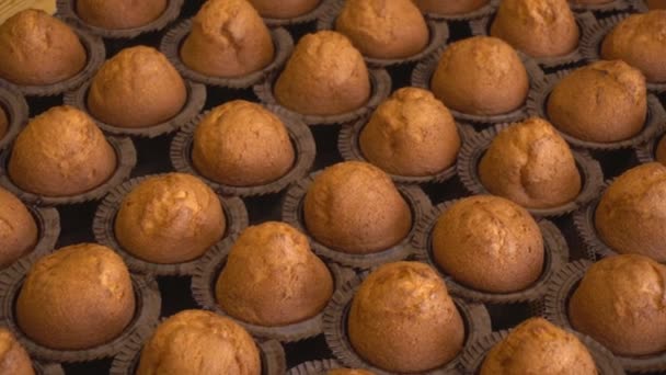 Zásobník čerstvě upečených vanilkových muffinů z pečiva, výroba muffinů. Pozadí potravinářského průmyslu — Stock video