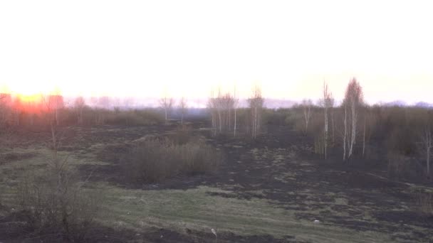 Sol vermelho no por do sol da fumaça no fundo da cidade depois de um incêndio florestal e grama seca, espaço de cópia, danos — Vídeo de Stock