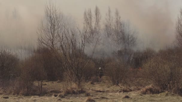 Kuru ilkbaharda doğada kuru ot ve orman ın güçlü ateşi, yangın tehlikesi, çok fazla duman, arka plan — Stok video