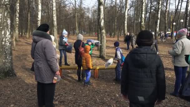 BOBRUISK, BELARUS 03.09.19: Los niños pequeños pelean con almohadas en un tronco en el parque en la primavera. Los niños pequeños juegan con cojines en un tronco en el parque en la primavera . — Vídeos de Stock