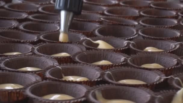 Productie van muffins en cake op de productie in grote hoeveelheden. Levensmiddelenindustrie, snoep maken — Stockvideo