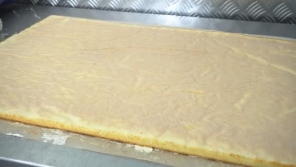 Koekjes broodjes maken met roomvulling in een zoetwaren fabriek. Het maken van desserts en snoep in de industrie. Handwerk — Stockvideo
