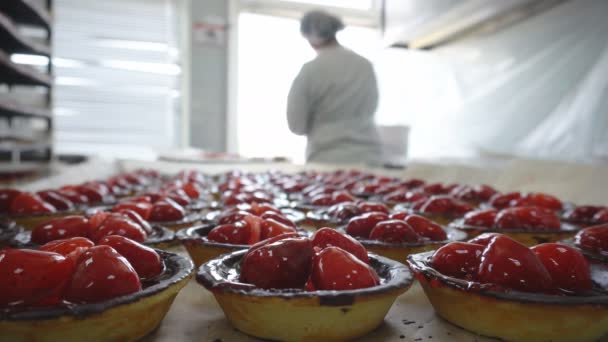 O confeiteiro faz bolos na fábrica de confeitaria, se concentrar em bolos com morangos frescos em tortas — Vídeo de Stock