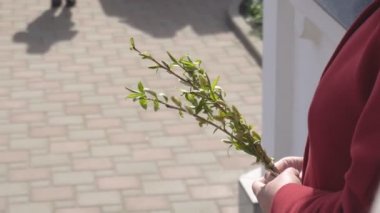 Hıristiyan Hıristiyan tatil Paskalya bir hafta önce kutlanan bir Palm Pazar, kutsal baba kutsal su ile söğüt dalları yanar, uzay kopyalamak