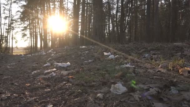 Ormandaki çimlerin üzerinde çöp yol ve günbatımı, ekoloji, insan tarafından çevre kirliliği, arka plan — Stok video