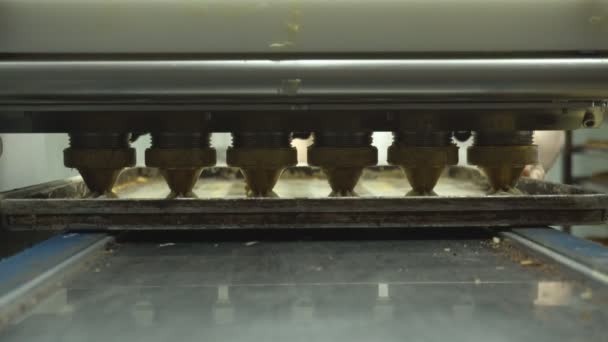 Ausrüstung zur Herstellung von Puddingkuchen in einer Süßwarenfabrik. frischer Teig geht durch Backgeräte auf der Pfanne, Feinkost — Stockvideo