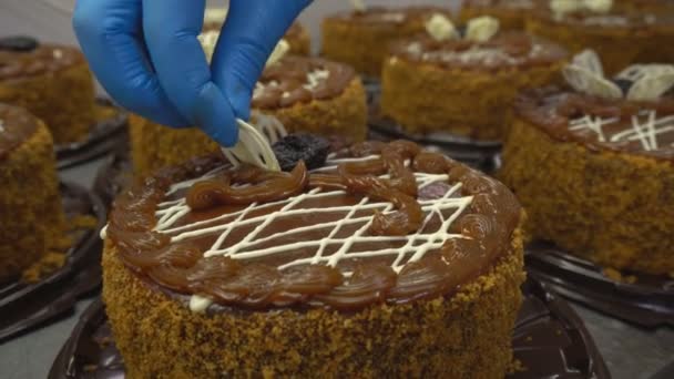 Bir pasta fabrikasında bir şekerlemeci taze ve lezzetli kek dekorasyon meşgul. Pasta dekorasyonu. İş yerinde kek yapma, tatlı — Stok video