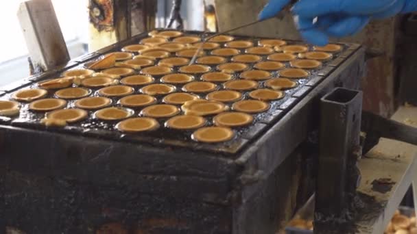 Backen und Herstellen von Mehl Süßigkeiten Nussleber mit Kondensmilch, Süßwarenproduktion, traditionelle — Stockvideo