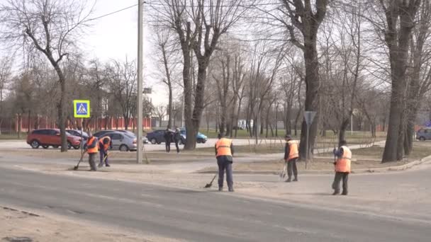 En skara vaktmästare städa och sopa gatan i staden, Utomhus Vitryssland, Mogilev-april 15, 2019 — Stockvideo