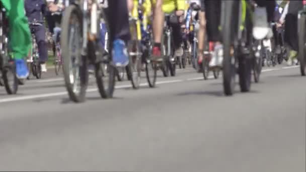Многие люди в городе ездят на велосипеде асфальт дороге, езда на велосипеде, здоровый образ жизни, фон, push-велосипед — стоковое видео