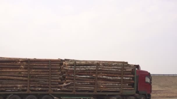 Un grande camion carro trasporta legname, tronchi di legno in autostrada, spazio copia, industriale — Video Stock