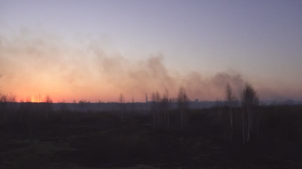Красное солнце в дыму заката на фоне города после лесного пожара и сухой травы, копировальное место, повреждения — стоковое видео