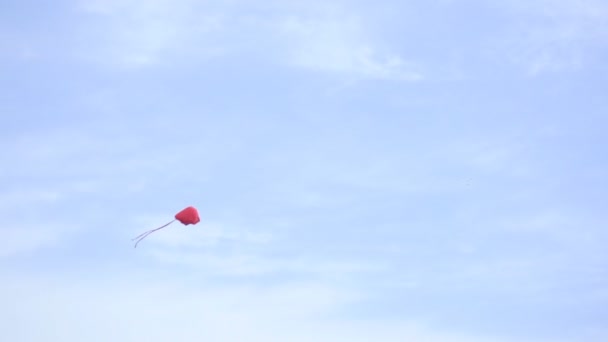 A beautiful multi-colored kite flies against a blue sky background, copy space, slow motion — Stock Video