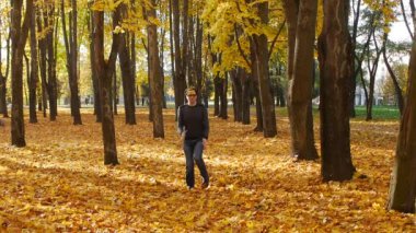 Komik ve eğlenceli kıvırcık adam sonbahar parkı yerinde çalışır. Güneşli bir günde bir kasabada yaprak düşer. Güzel doğa
