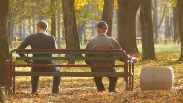 Ung kille och en äldre man sitter på en bänk i en Park på hösten en solig dag. Olika ålders generationer på ett och samma ställe. Löv faller i skogen. Man pratar på en mobiltelefon. Vacker natur — Stockvideo