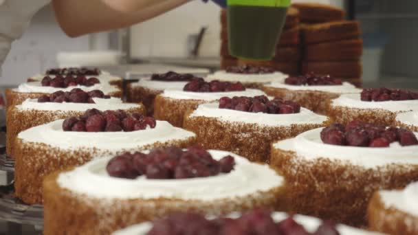 Att göra och dekorera bakverk kakor med färska körsbär. Dekorera grädde med en konfektyrspruta. Livsmedelsindustrin. — Stockvideo