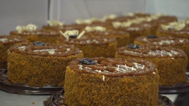 Ein Konditor in einer Konditorei ist damit beschäftigt, frische und leckere Kuchen zu dekorieren. Kuchendekoration. Kuchen bei der Arbeit, Dessert — Stockvideo