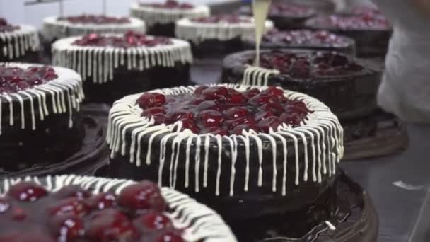 Украска и изготовление шоколадных тортов со свежими вишневыми ягодами в производстве. Трусы украшения с кремом, технологии — стоковое видео