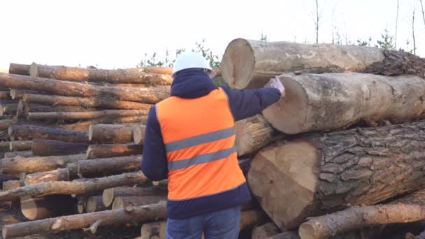 Acaucasian hombre forestal comprueba la calidad del bosque y el grosor de los troncos cortados, la industria — Vídeos de Stock