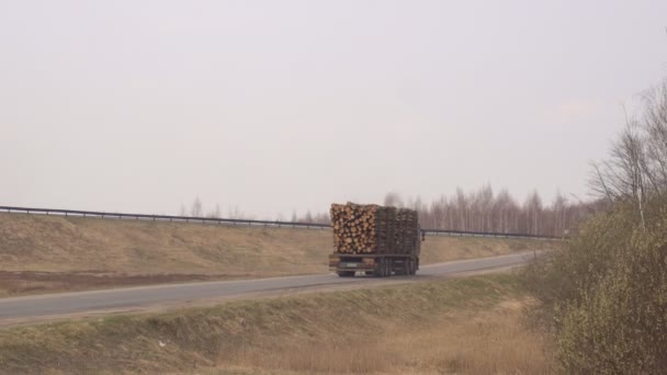Een grote truck wagon vervoert timmerhout, houten logs op de snelweg, kopieer ruimte — Stockvideo